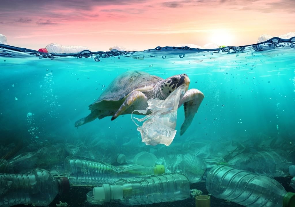 Voyager-et-respecter-l’environnement Voyager-et-respecter-l'environnement