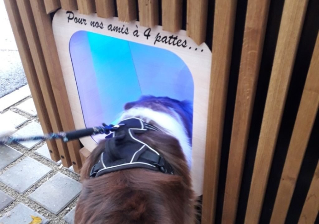 Un chien tenu en laisse et muni d'un harnais entre dans une cabine en bois portant l'inscription « Pour nos amis à 4 pattes... ». Une lumière bleue émane de l'intérieur de la cabine. Celle-ci est posée sur une surface pavée.
