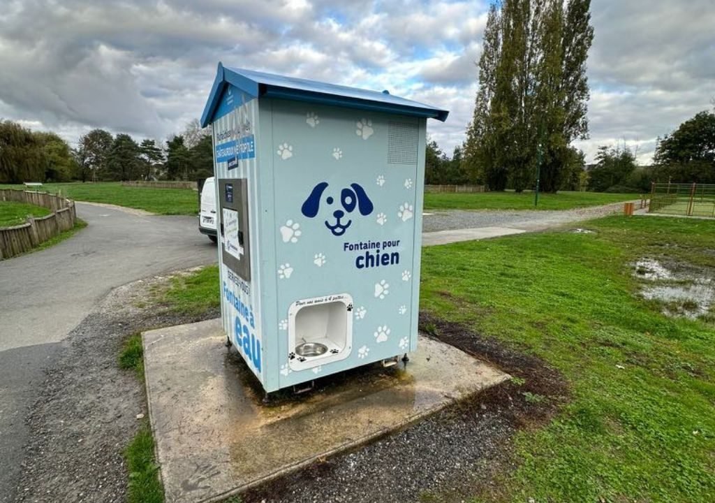 Une fontaine pour chiens est installée sur une dalle en béton dans un espace vert du parc. La structure bleu clair est ornée d'empreintes de pattes, d'une illustration représentant un chien et d'une inscription en français indiquant « Fontaine pour chien ».